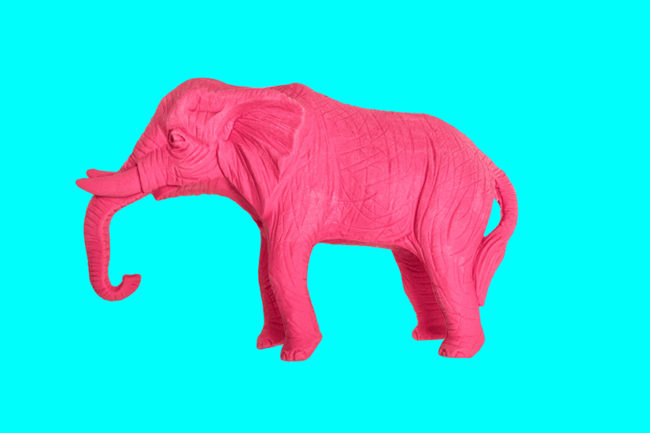 Ne pensez pas à un éléphant rose.